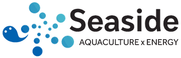 Seaside Consulting